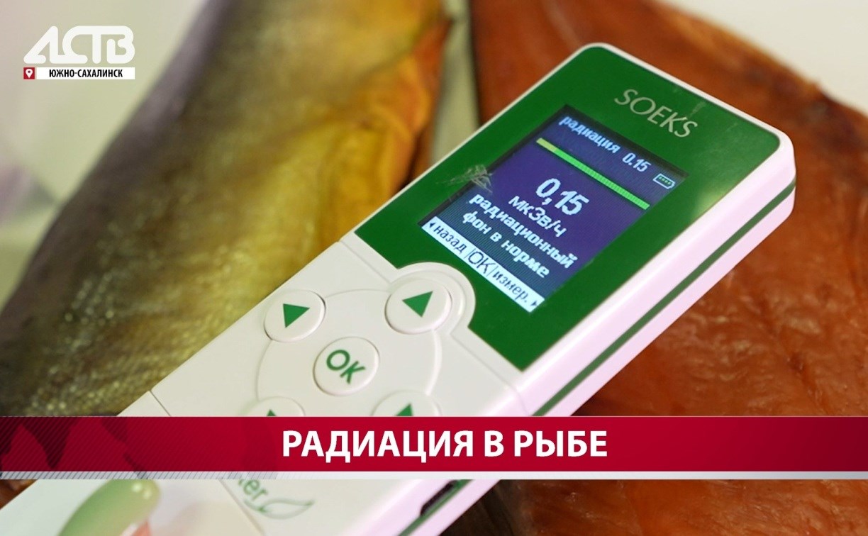 Измерили уровень радиации в рыбе и крабах: АСТВ прошёл с дозиметром по популярному сахалинскому рынку