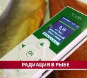 Измерили уровень радиации в рыбе и крабах: АСТВ прошёл с дозиметром по популярному сахалинскому рынку