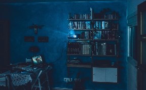 Общество