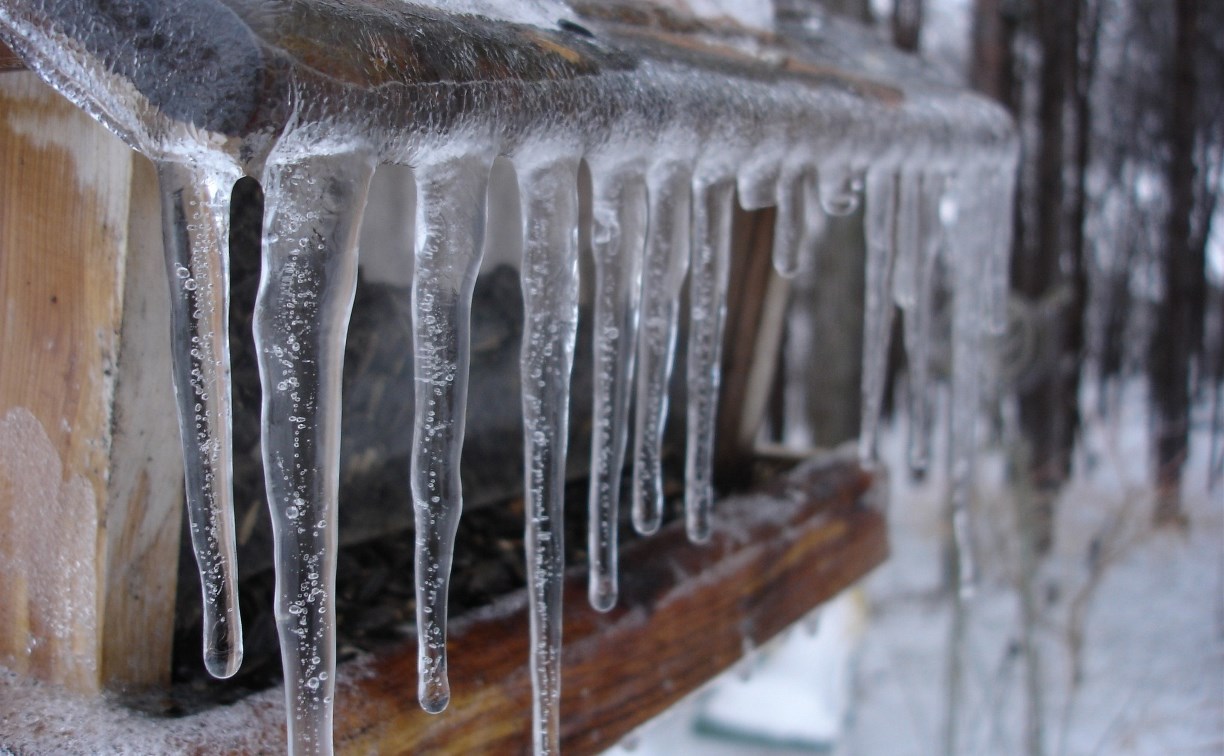 Небольшой снег, потеплеет до -1 °C: какая погода будет в Сахалинской области 20 марта 