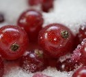 Россияне едят слишком много сахара и соли
