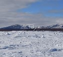 Наконец-то: припай сформировался в заливе Мордвинова