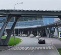 Пьяной сахалинке, которая материлась и дралась в аэропорту, озвучили приговор