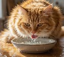 Запастись водой и терпением: в Южно-Сахалинске будут чинить сети