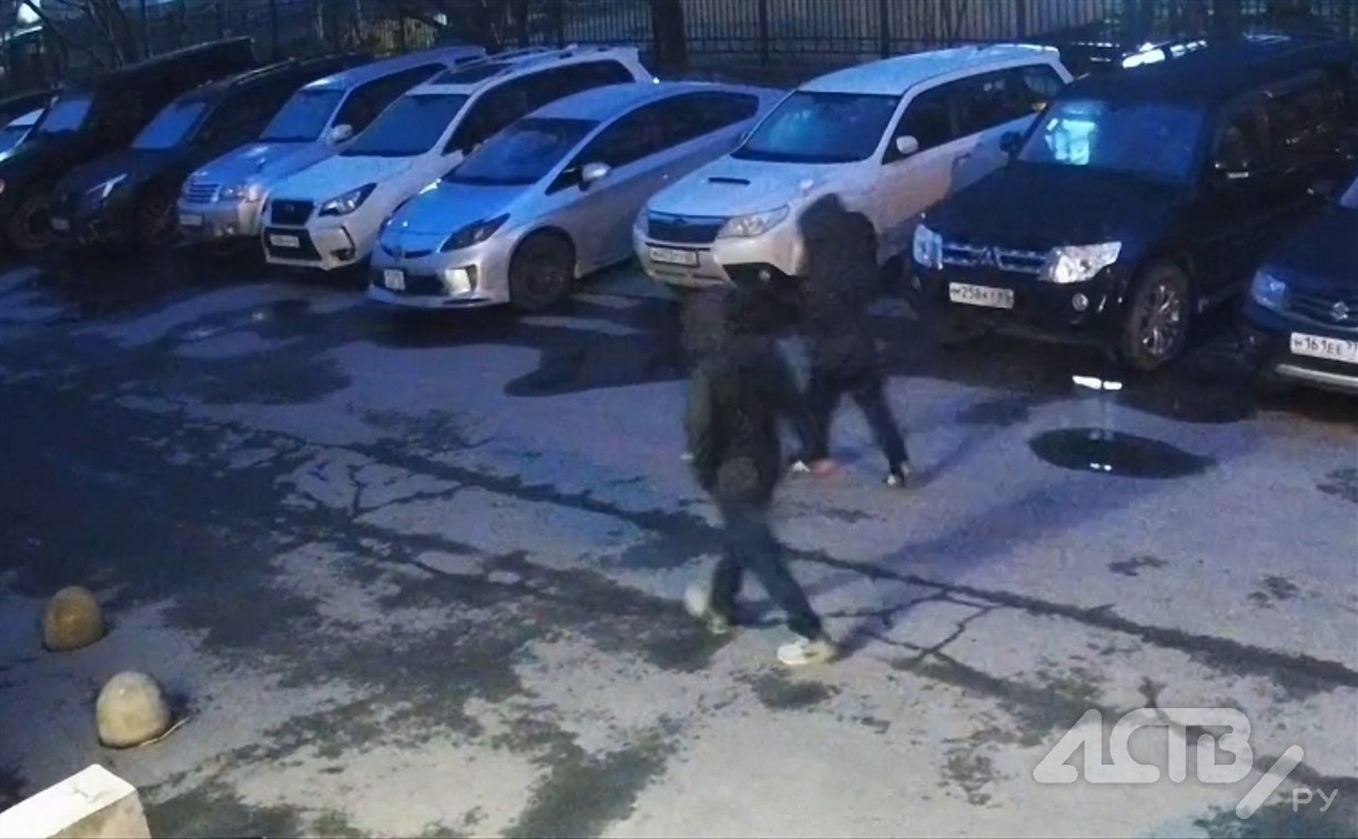 "Кража по объявлению": полиция в Южно-Сахалинске задержала тех, кто стащил зеркала с "Лексуса"