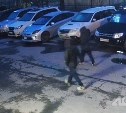 "Кража по объявлению": полиция в Южно-Сахалинске задержала тех, кто стащил зеркала с "Лексуса"