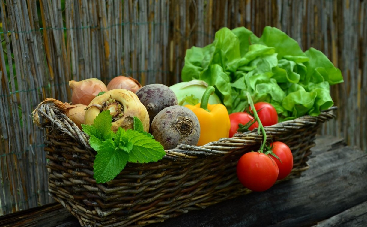 Более 260 тонн овощей доставили в Сахалинскую область