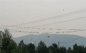Общество