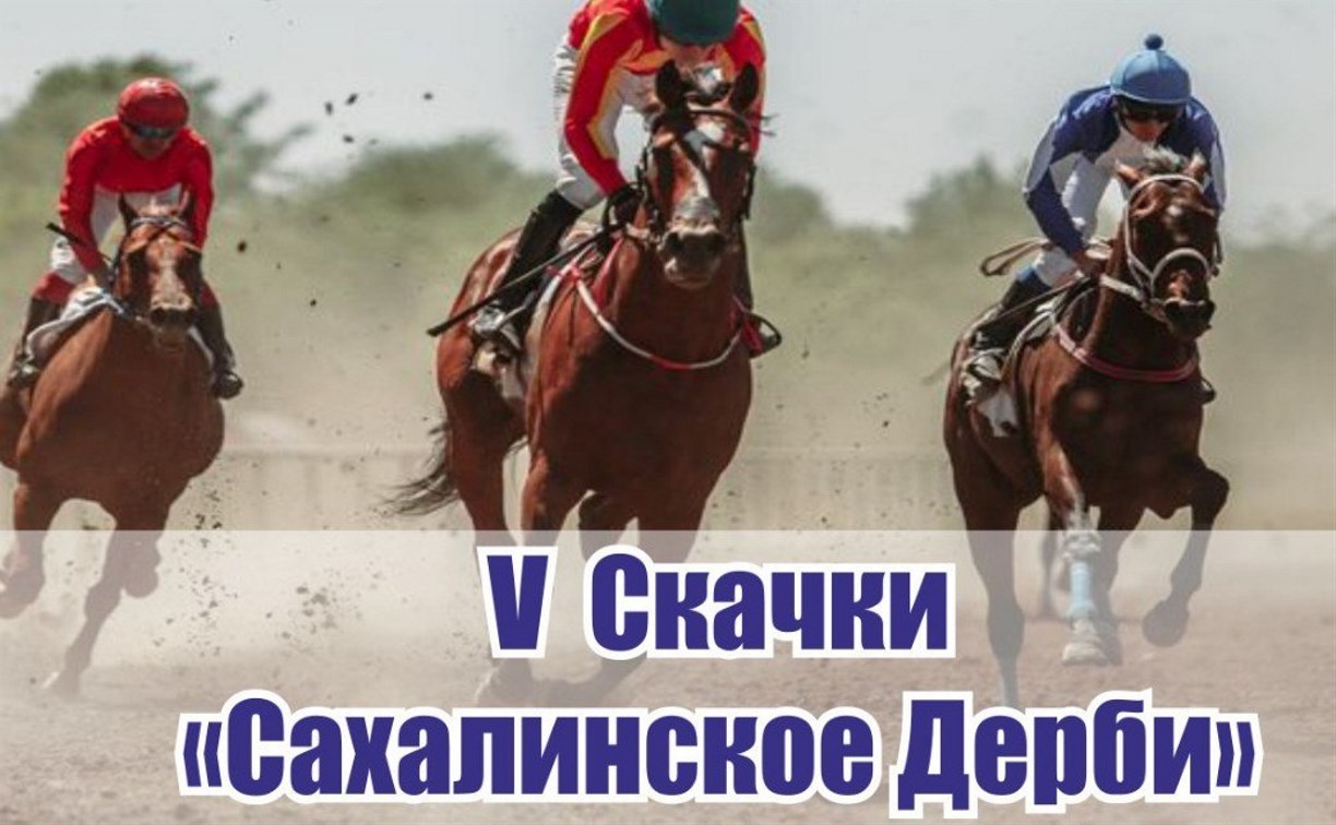 Сахалинцев приглашают на конные скачки