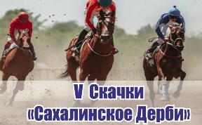 Спорт
