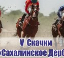Сахалинцев приглашают на конные скачки