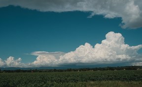 Общество