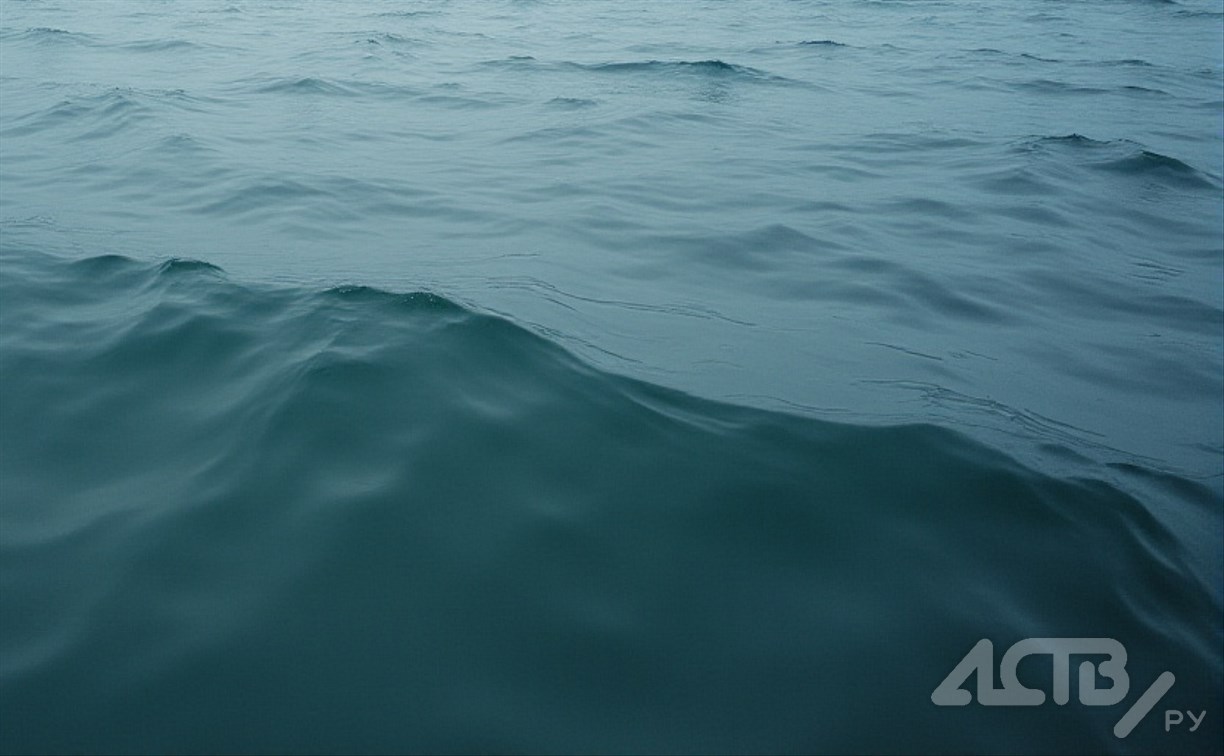 Женщина утонула в море в Корсаковском районе