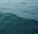 Женщина утонула в море в Корсаковском районе