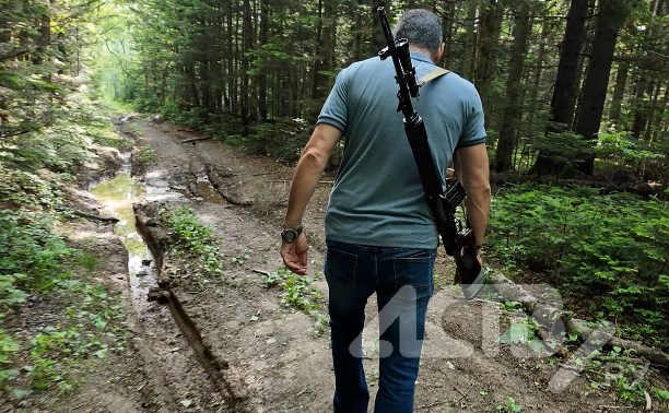 "Охранял добычу": эксперт объяснил поведение медведя, напавшего на сахалинцев
