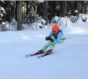 Юные горнолыжники состязались за приз «Зимних каникул»