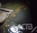 Жильцы дома в Южно-Сахалинске жалуются на плесень и крыс из-за переполненного водой подвала