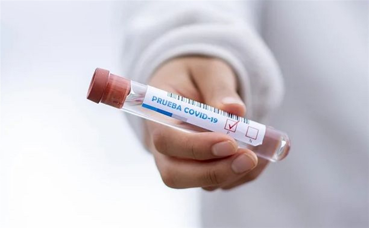 На Камчатке за справку об антителах к COVID-19 требуют 1 570 рублей