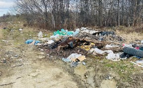 Общество