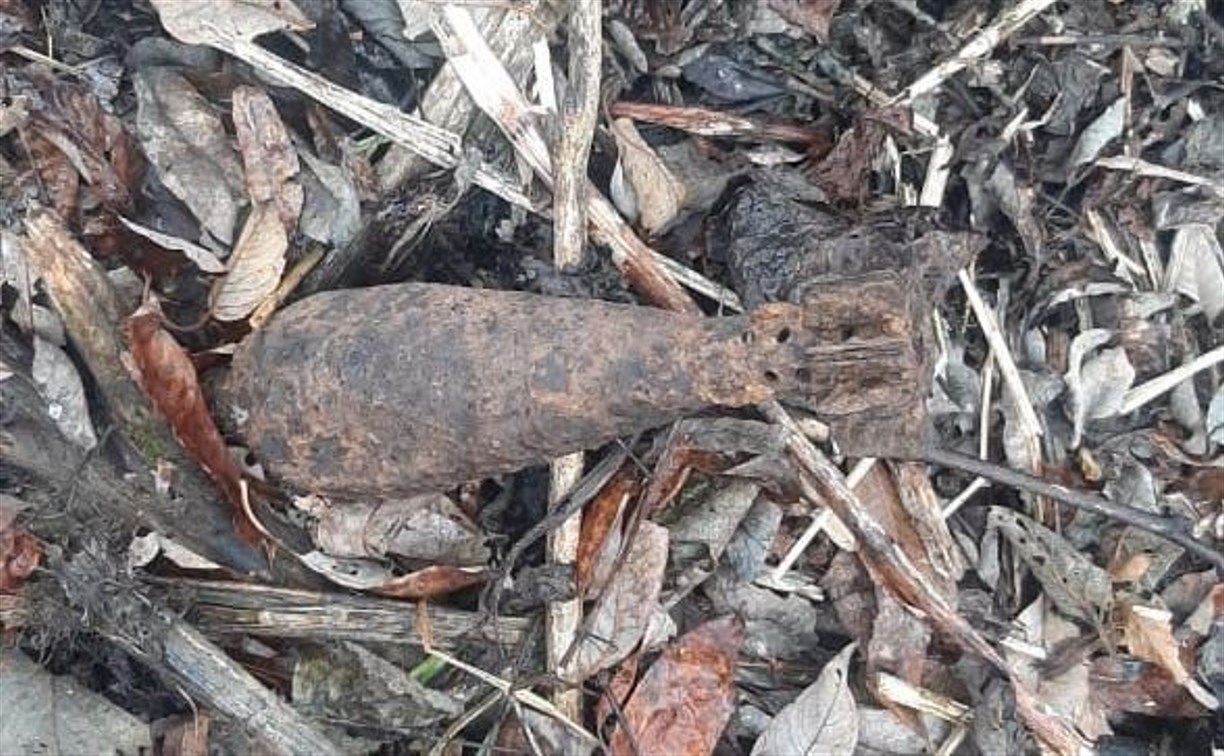 Ржавую мину нашли сахалинцы у бывшего детского лагеря 