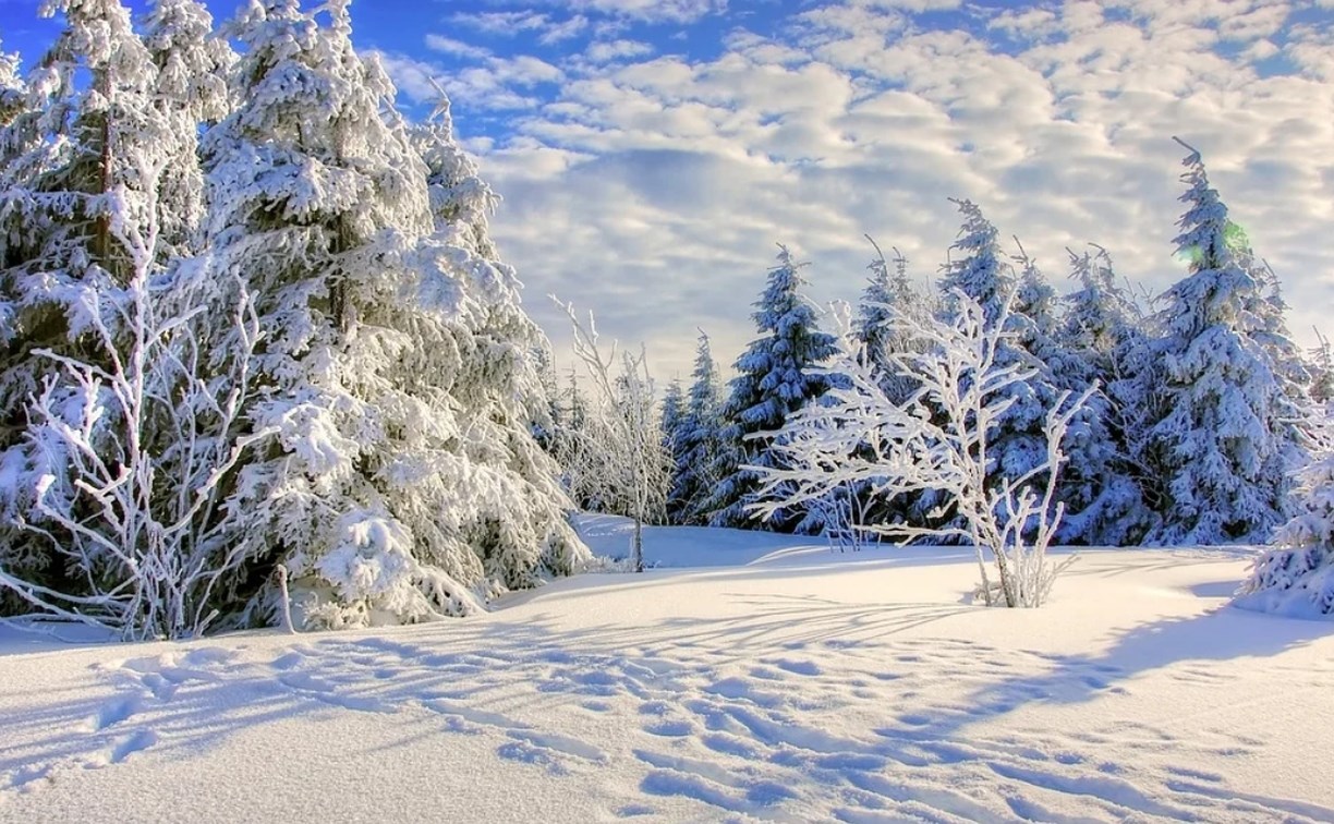 Морозы возвращаются: какая погода будет в Сахалинской области 26 января