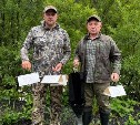 Новые очаги опасных лесных вредителей нашли на Сахалине