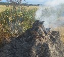 "Хулиганы подожгли?": сахалинка сообщила о горящих стогах сена недалеко от СНТ