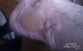 Происшествия