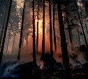 Торф горел в районе сахалинского озера Изменчивого