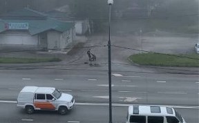 Общество