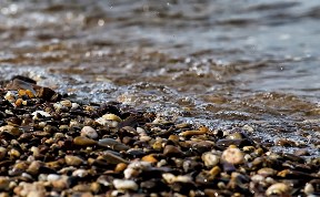 Происшествия