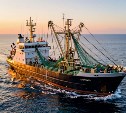 На Дальнем Востоке добыли 82% всей рыбы в России с начала года