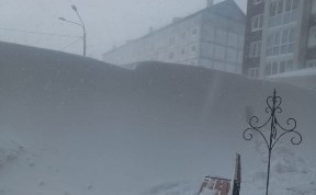 Общество