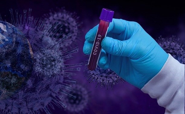 За сутки на Сахалине коронавирус диагностировали у 19 человек