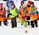 В новом сезоне «хоккея в валенках» впервые примут участие анивские команды