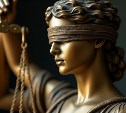 На Сахалине аферистка дважды продала участок и дом