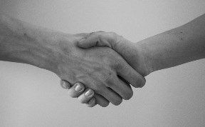 Происшествия