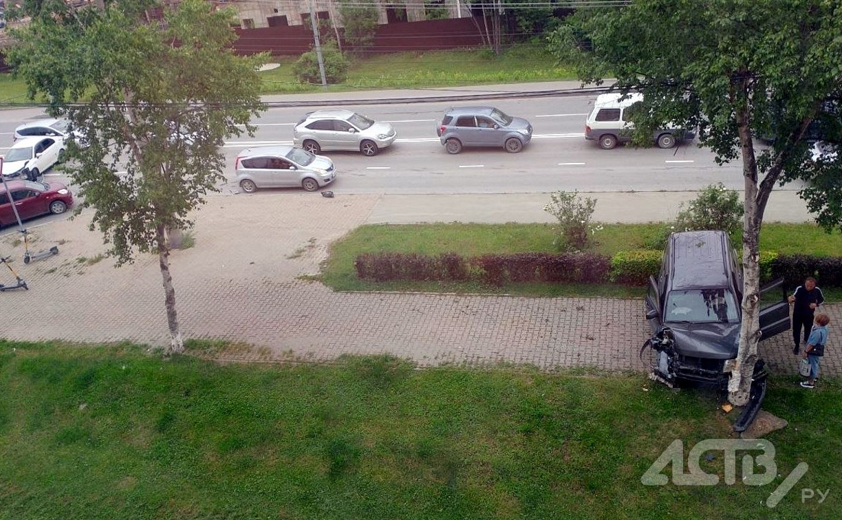 Внедорожник жёстко влетел в дерево в результате ДТП в Южно-Сахалинске