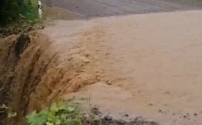 Общество
