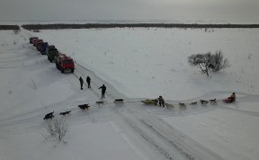 Общество