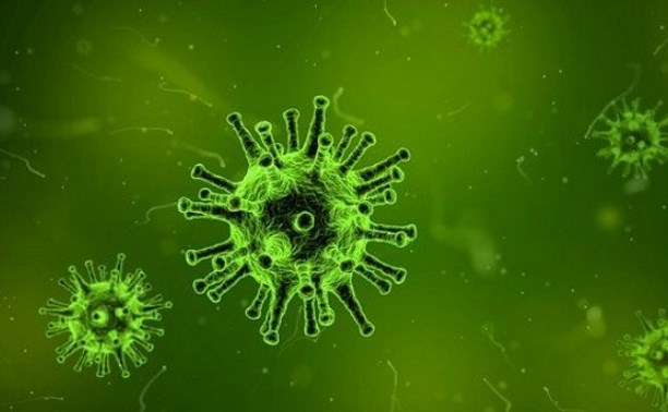 Глава ВОЗ: в мире может появиться ещё более опасный штамм коронавируса