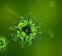 Глава ВОЗ: в мире может появиться ещё более опасный штамм коронавируса