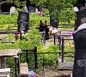 Медведя, пришедшего на кладбище в день похорон, отстрелили на Сахалине