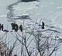 "Еле успели перепрыгнуть": рыбаки на Сахалине спасались со льда после того, как его начало крошить
