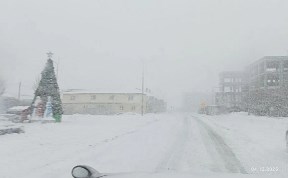 Происшествия