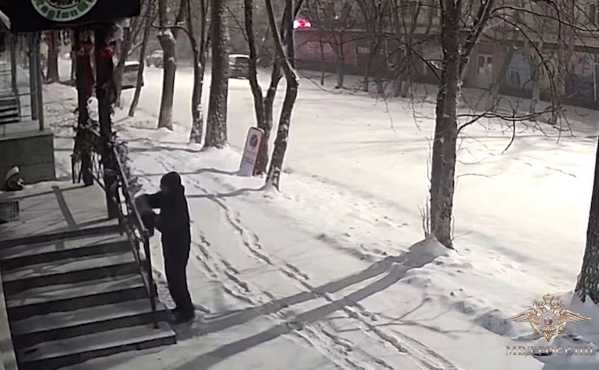 В Корсакове объявился Гринч: мужчина украл новогодние украшения из парикмахерской и кофейни