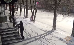 Происшествия