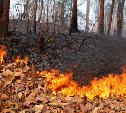 Почти во всех районах Сахалина прогнозируется высокая пожарная опасность