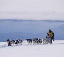 На Камчатке стартовал конкурс детских рисунков в рамках Зимнего фестиваля "Берингия"