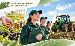 Политика и экономика